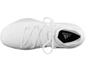 cq0443