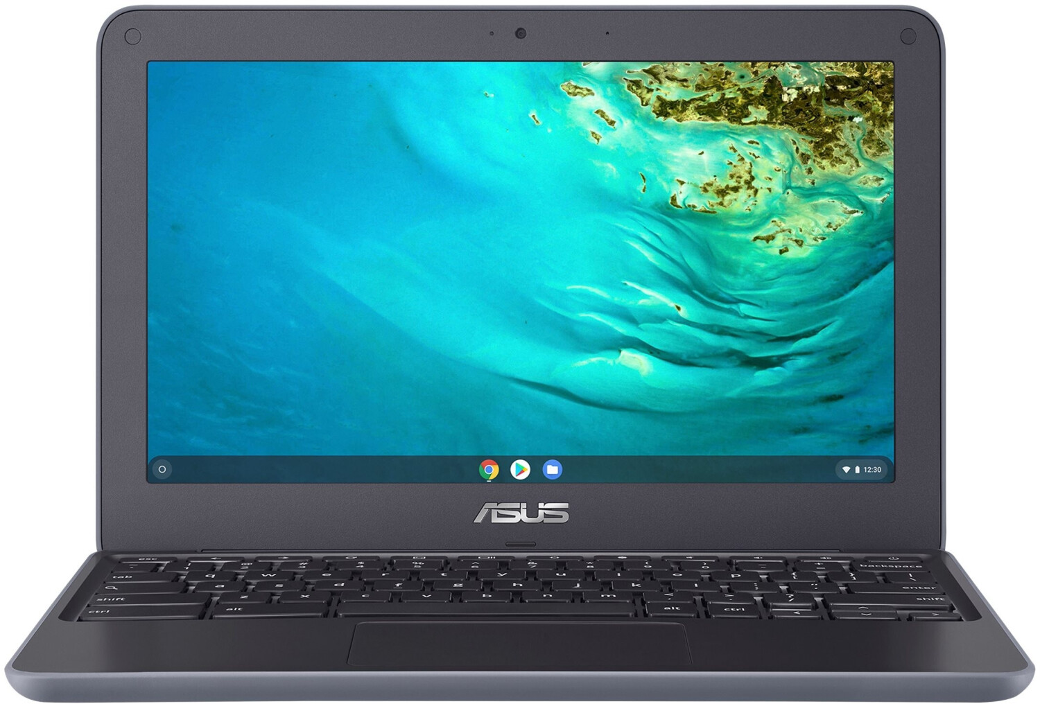 Asus Chromebook C202