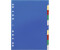 DURABLE Register DIN A4 Vollformat blanko farbsortiert 10-teilig Satz (674027)