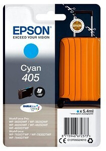 Epson C13T05G24010