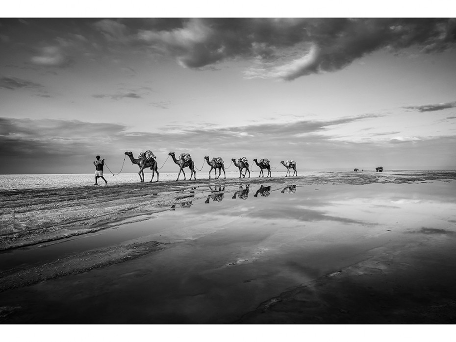 Vente-unique Tabeau en verre desert