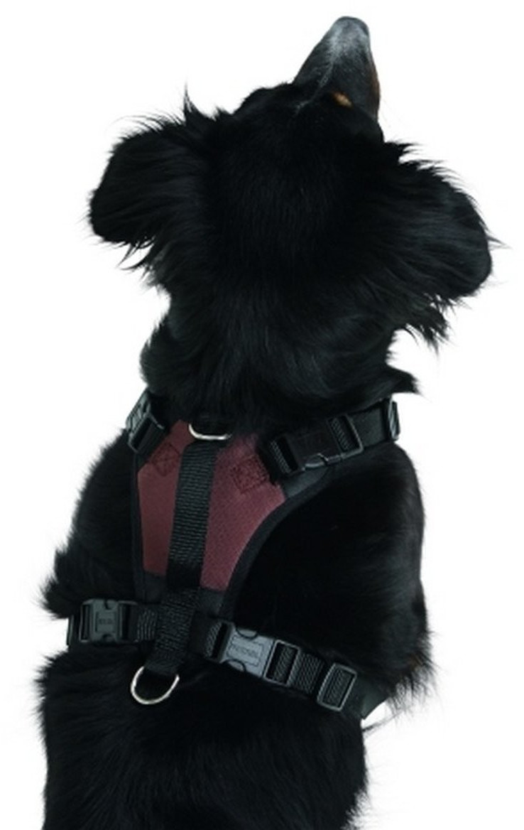 Kerbl Harnais pour chien M Kerbl Harnais pour chien M