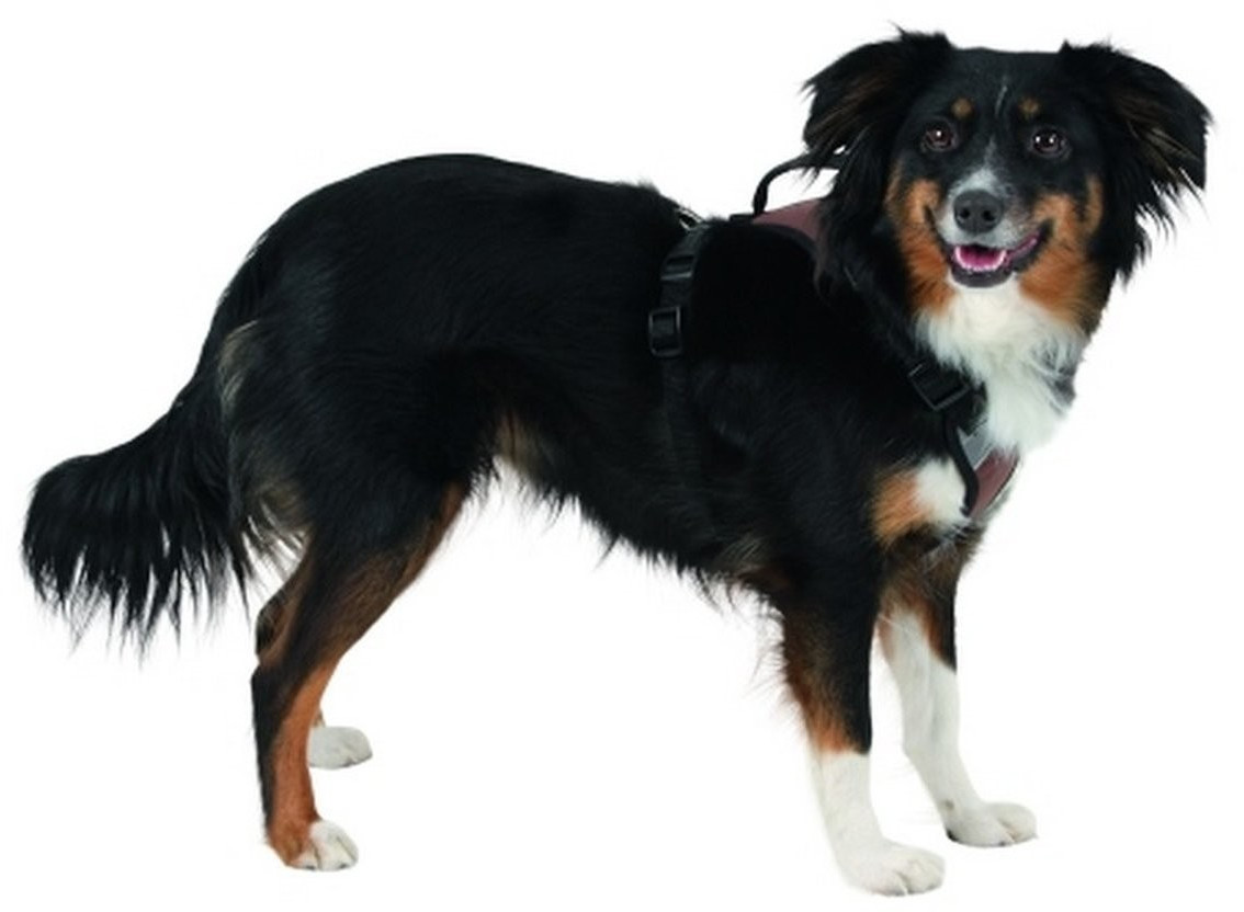 Kerbl Harnais pour chien M Kerbl Harnais pour chien M