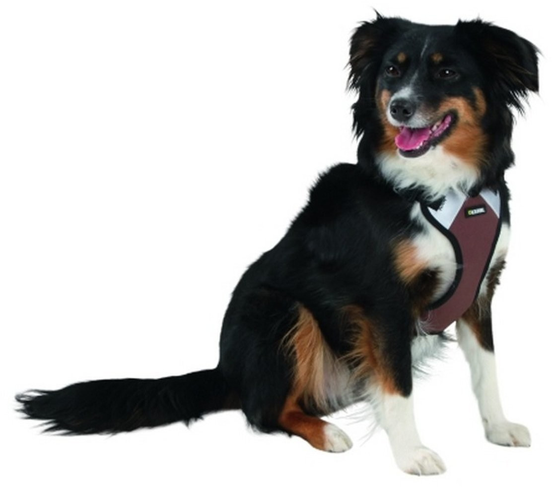 Kerbl Harnais pour chien M Kerbl Harnais pour chien M