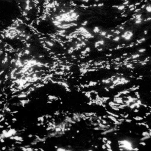 Grouper - Aia: Dream Loss (Vinyl)