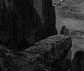 Null - Entity (Ltd.Gtf/White Vinyl) (Vinyl)