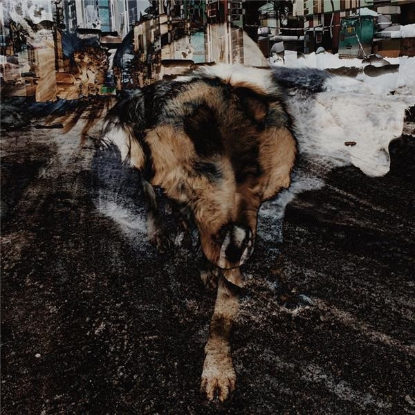 Joe Volk, Naiare - Primitive Energetics (180g) (Vinyl)