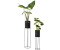 Set of 2 Tall Plant Stands | Black Metal Plant Holders