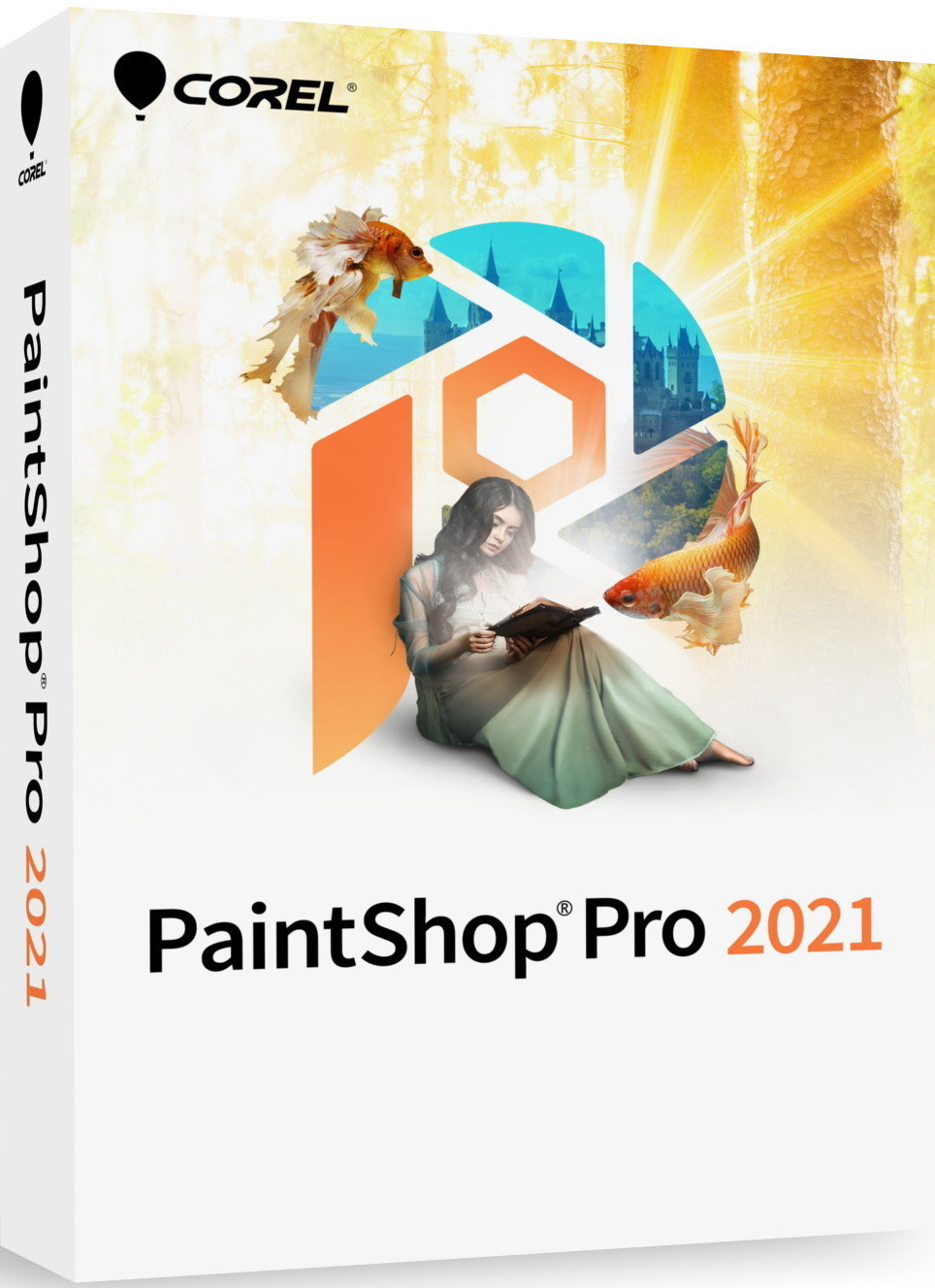 Corel PaintShop Pro 2021