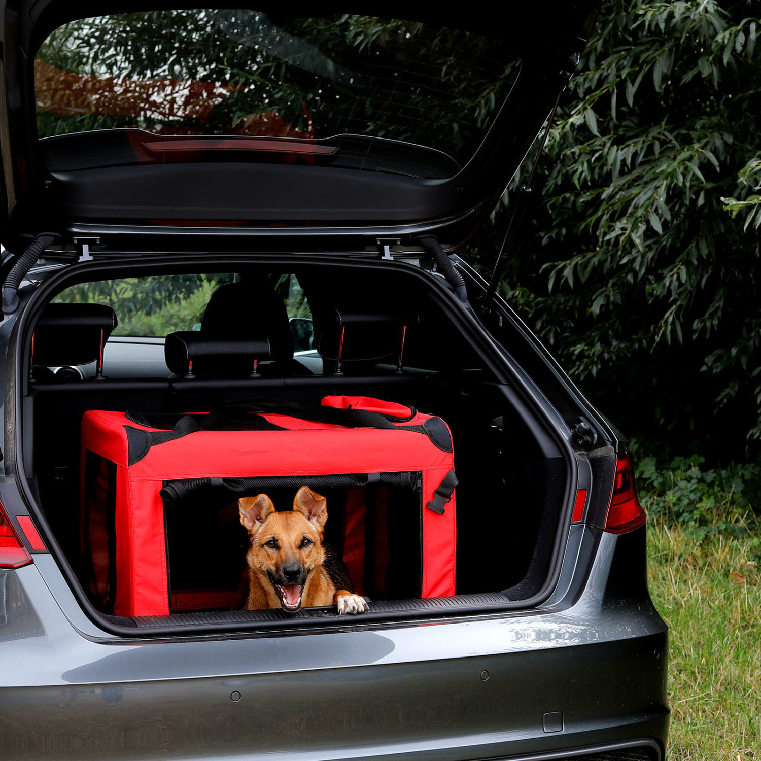 Dibea Caisse de transport pour chien L rouge