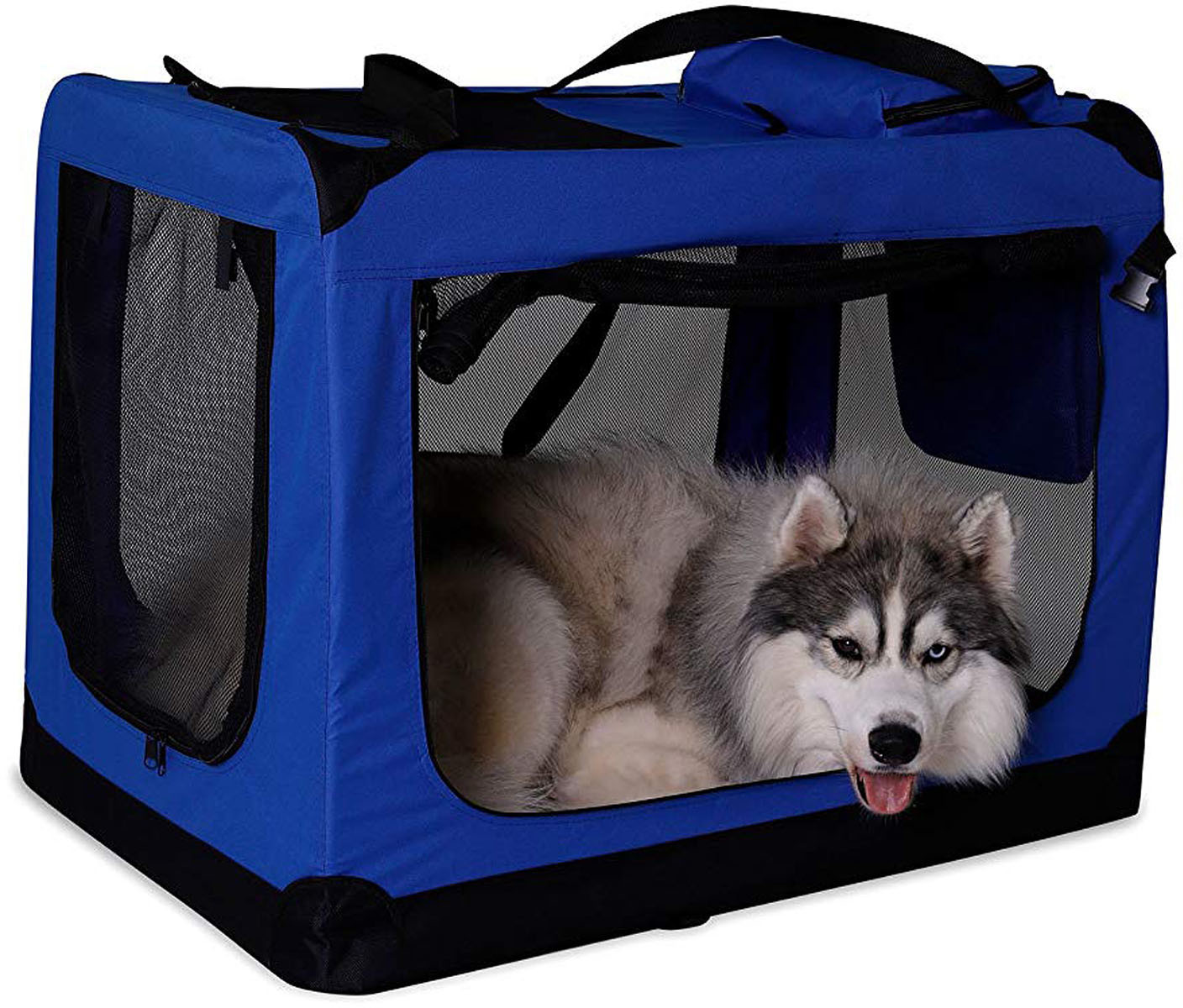 Dibea Caisse de transport pour chien XL bleu Dibea Caisse de transport pour chien XL bleu