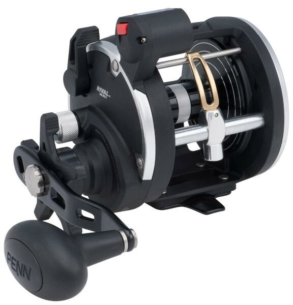 Penn Rival Level Wind RIV30LWLC