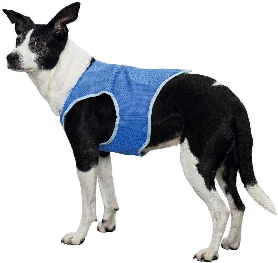 Trixie Gilet pour chien Trixie Gilet pour chien