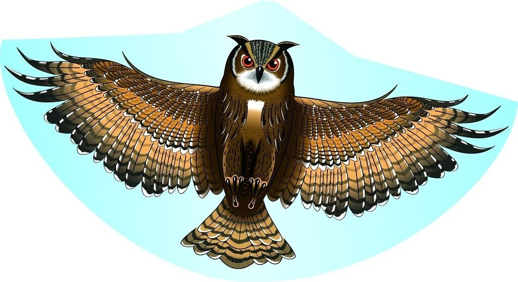 Günther Owl (1193)