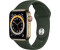 Apple Watch Series 6 LTE Gold Edelstahl 40mm Sportarmband Zyperngrün