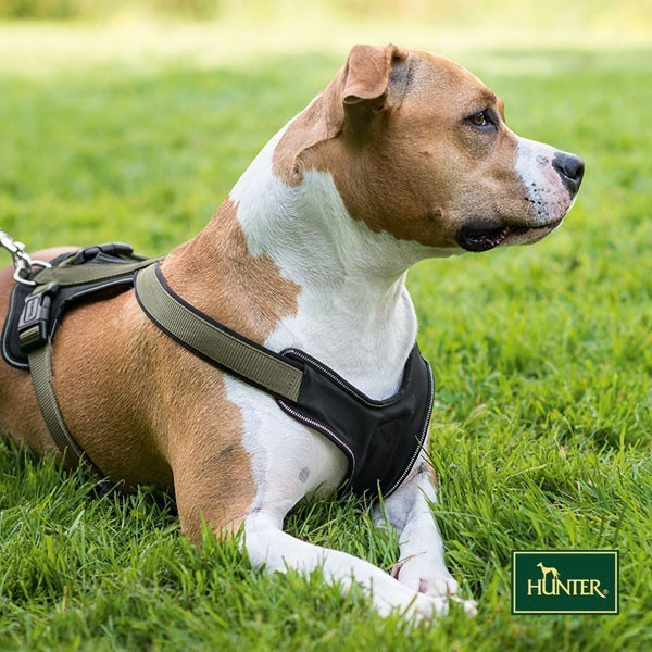 HUNTER Harnais pour chien Harness Neopren L-XL Black/Grey HUNTER Harnais pour chien Harness Neopren L-XL Black/Grey