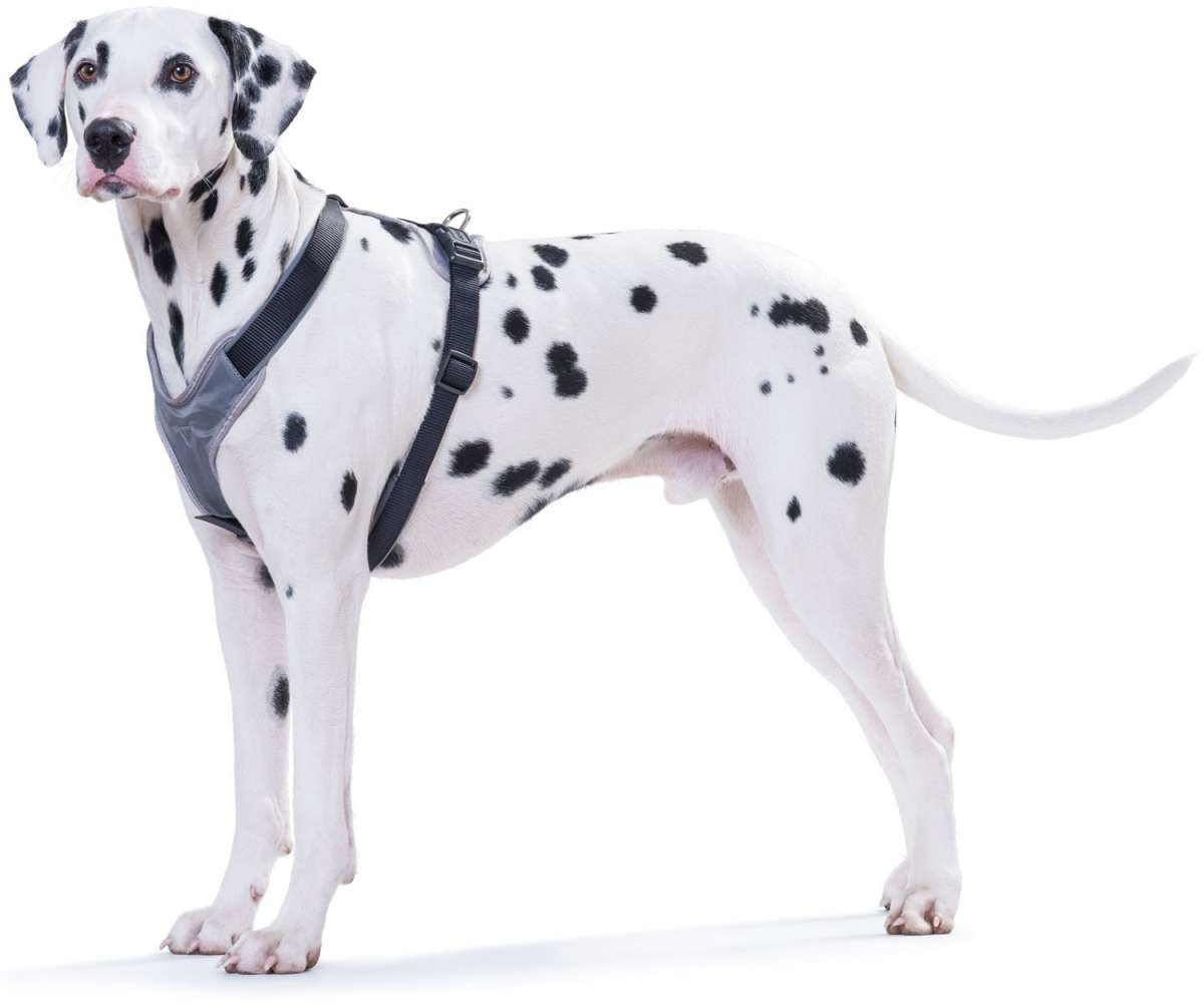 HUNTER Harnais pour chien Harness Neopren L-XL Black/Grey HUNTER Harnais pour chien Harness Neopren L-XL Black/Grey