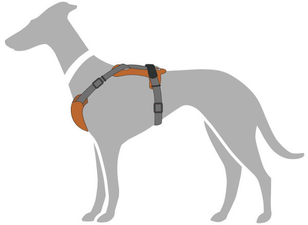 HUNTER Harnais pour chien XS-S Olive Greene Green/Grey HUNTER Harnais pour chien XS-S Olive Greene Green/Grey