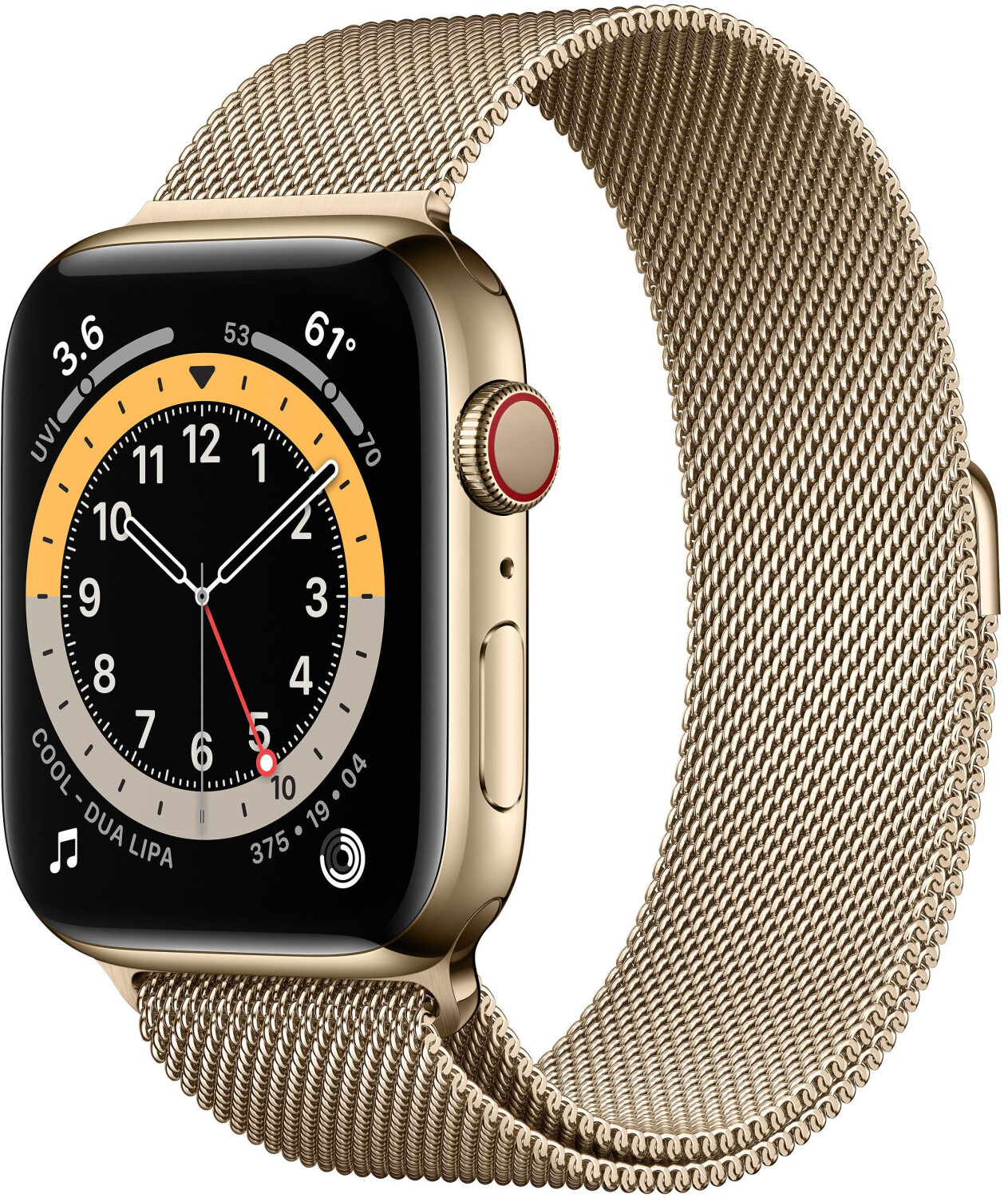 Apple Watch Series 6 Cellular 40mm acciaio inossidabile oro con Loop