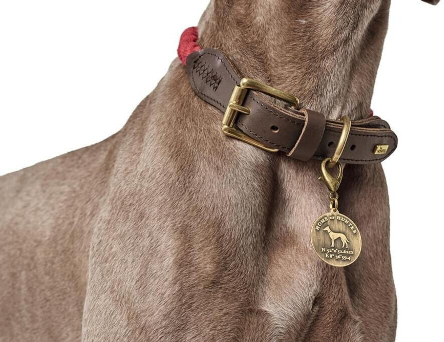 HUNTER Collier pour chien List Dog Collar 60cm 12mm Beige HUNTER Collier pour chien List Dog Collar 60cm 12mm Beige