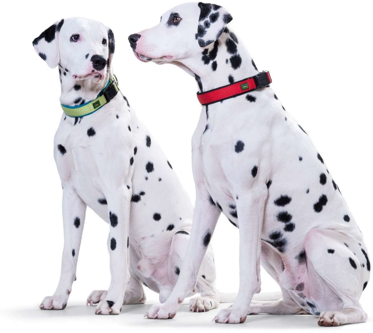 HUNTER Collier pour chien HUNTER Collier pour chien