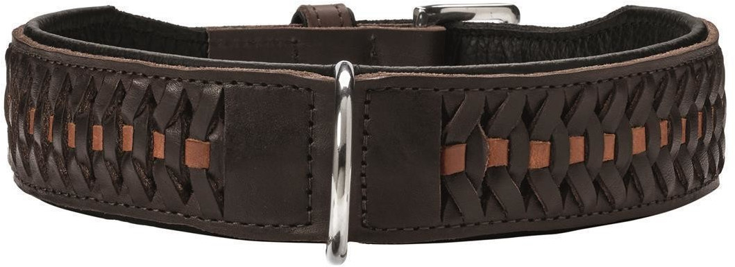 Hunter Dog Collar Solid Education Exclusive