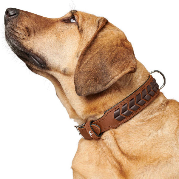 HUNTER Collier pour chien HUNTER Collier pour chien