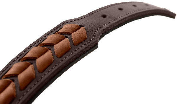 HUNTER Collier pour chien HUNTER Collier pour chien