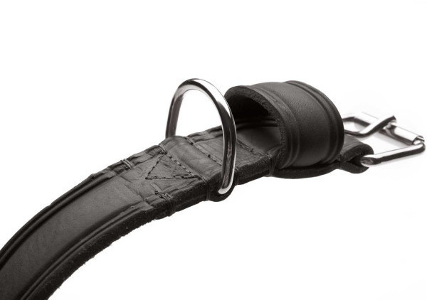 HUNTER Collier pour chien 60cm 3.5cm Black