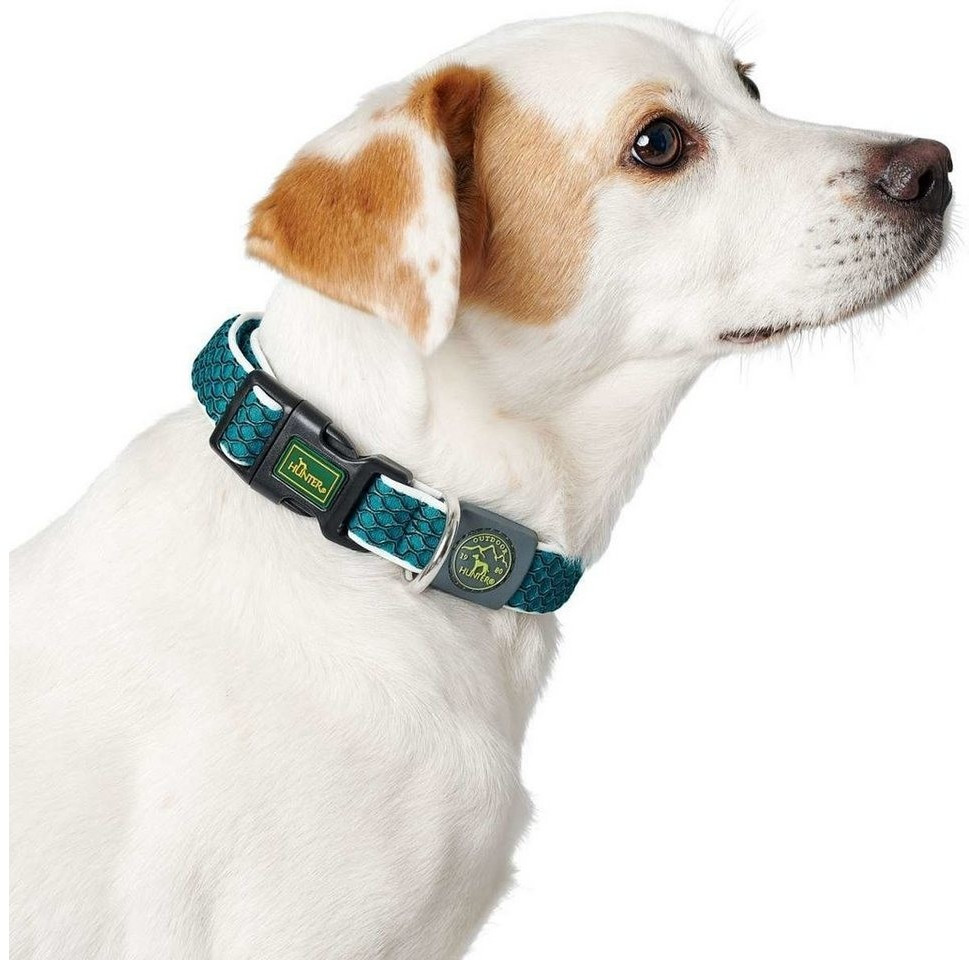 HUNTER Collier pour chien Aqua S-M 2.5cm HUNTER Collier pour chien Aqua S-M 2.5cm