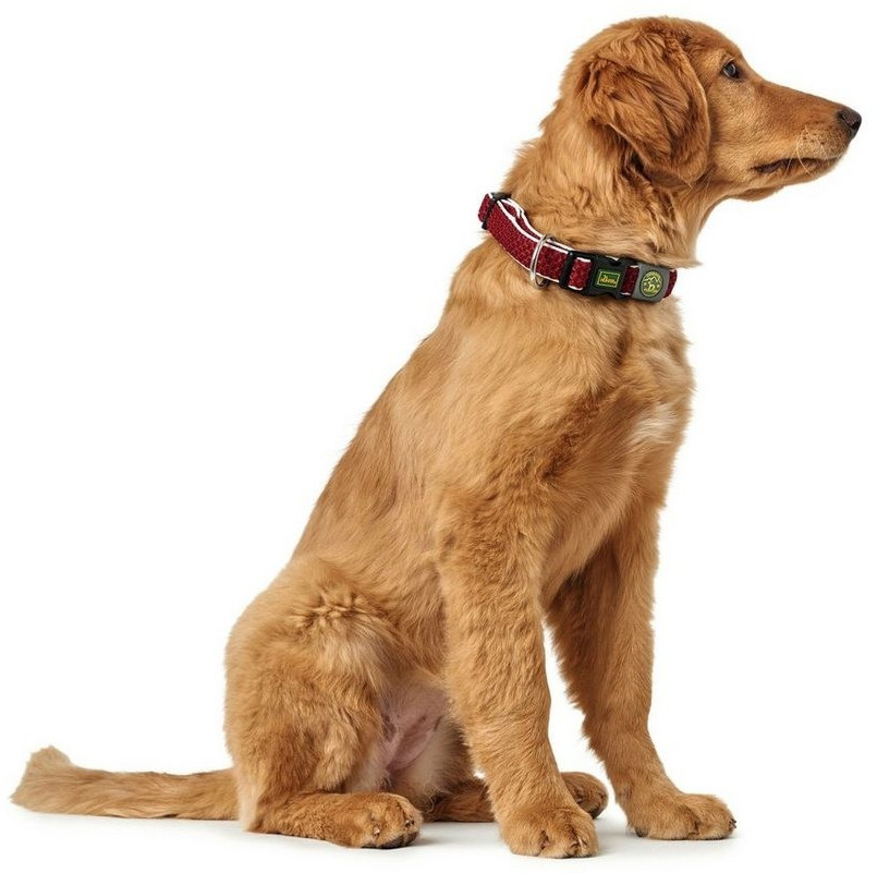 HUNTER Collier pour chien L 3.2cm Red HUNTER Collier pour chien L 3.2cm Red