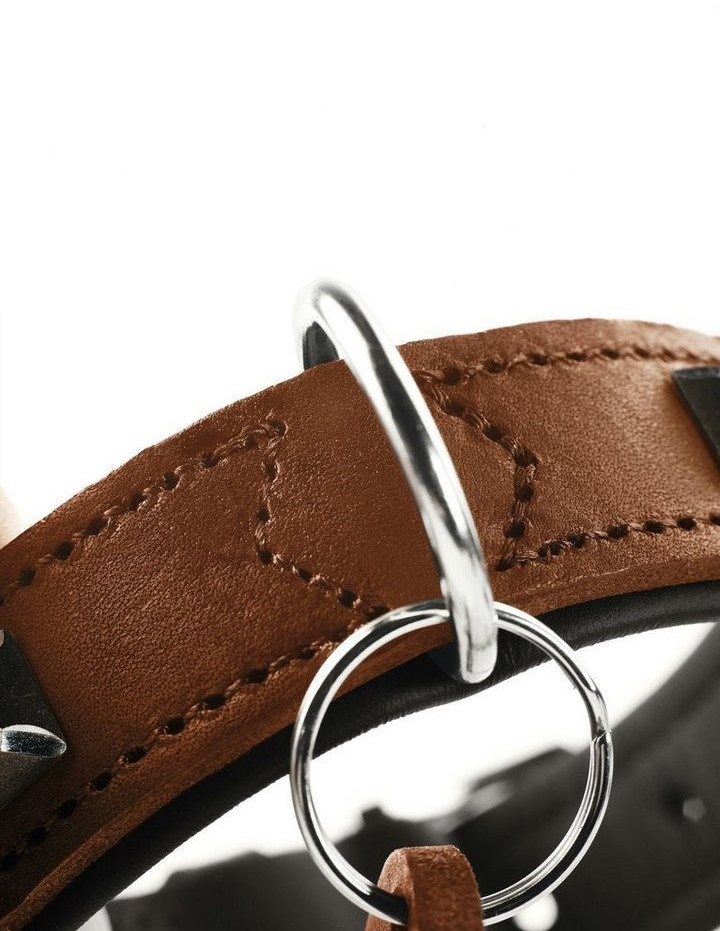 HUNTER Collier pour chien Cognac/Black 55cm 3.5cm HUNTER Collier pour chien Cognac/Black 55cm 3.5cm