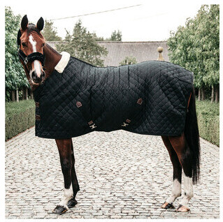 Kentucky Horsewear Stable Rug 400g 145cm Black