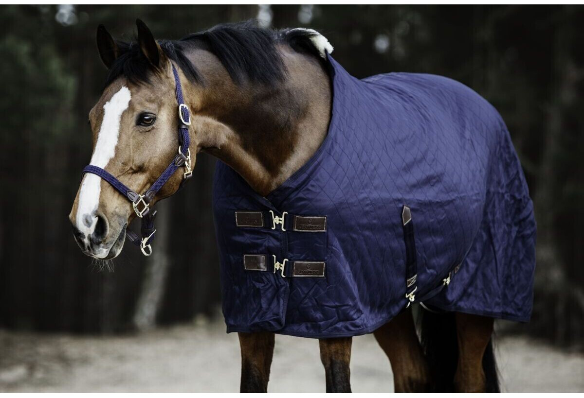 Kentucky Horsewear Stable Rug 0g 145cm Blue