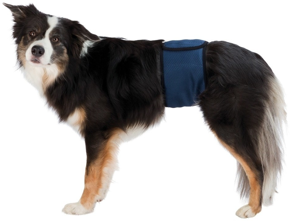 Photos - Dog Clothing Trixie Washable Male Dog Nappy M 45-55cm Dark Blue 