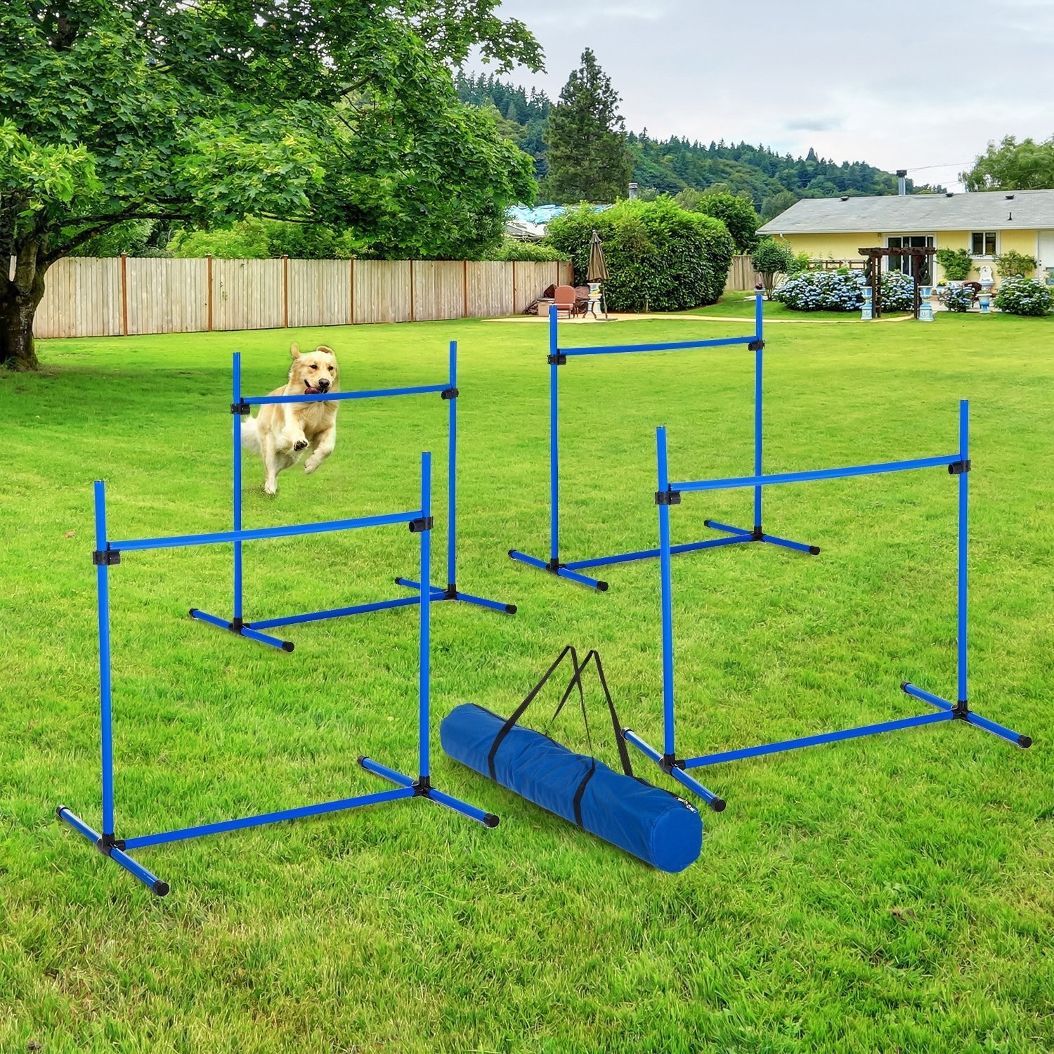 Pawhut Kit agility Pawhut Kit agility