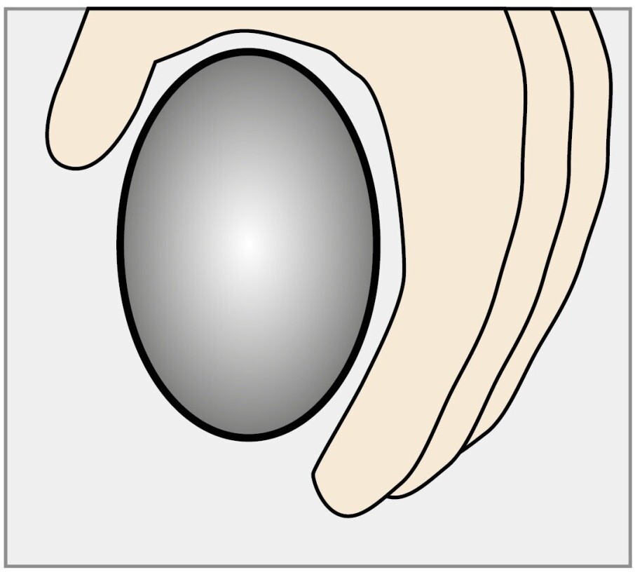 Cemo Cemo Schneeschaufel (196419) - back view