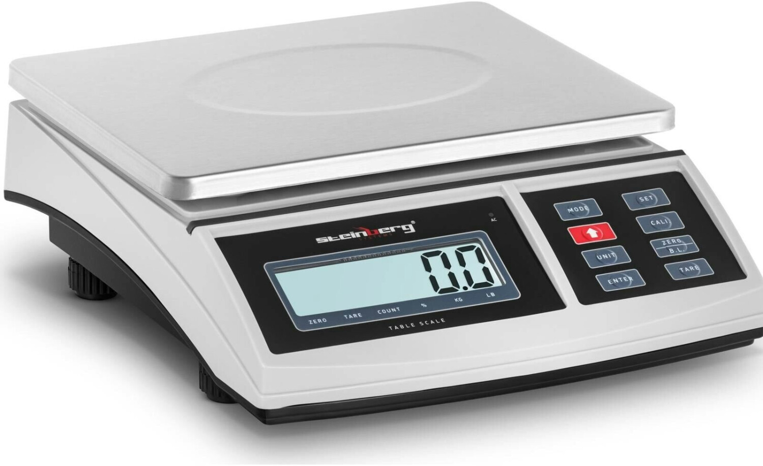 Steinberg Systems 10030493