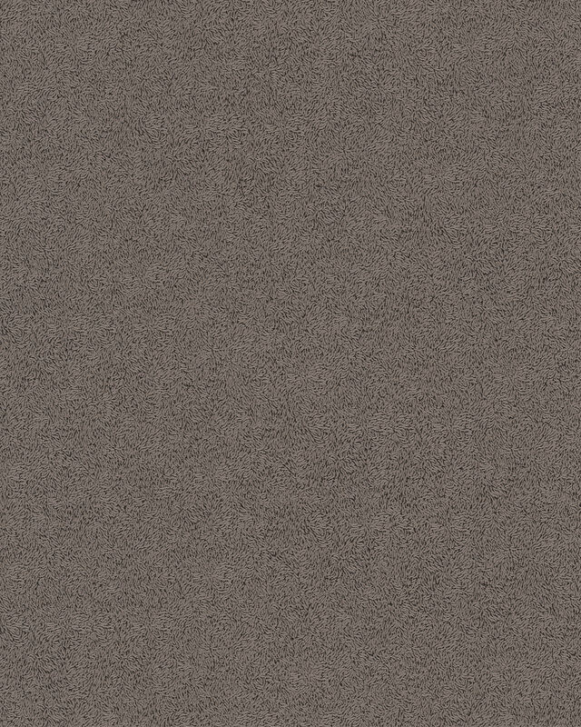 Edem BRAVO  (85047BR26)