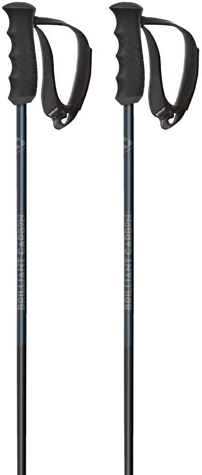 Fischer Brilliant Carbon (2020)