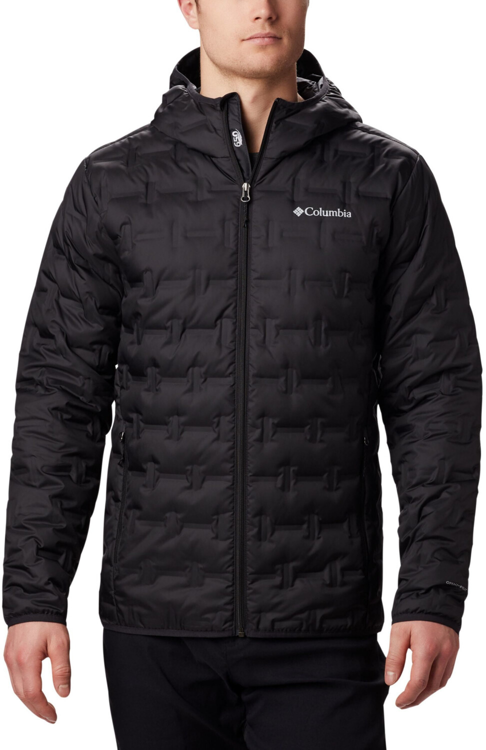 Columbia Delta Ridge Down Hooded Jacket black