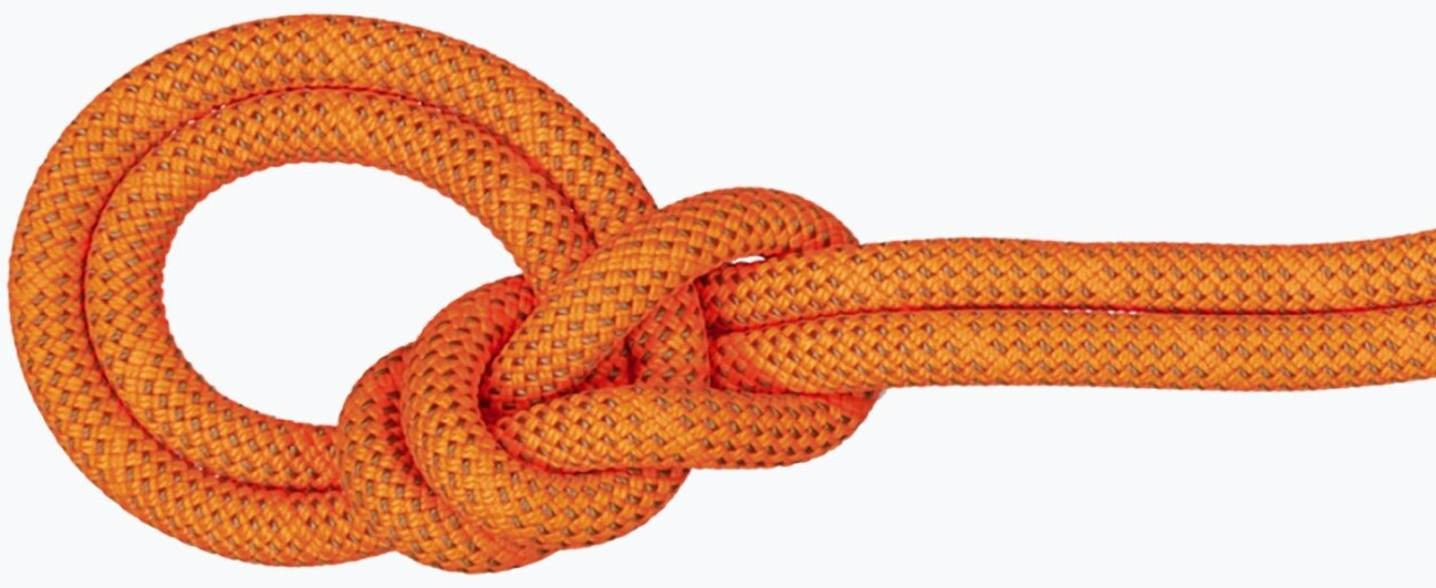Mammut 9.8 Crag Dry (70m, safety orange-boa)