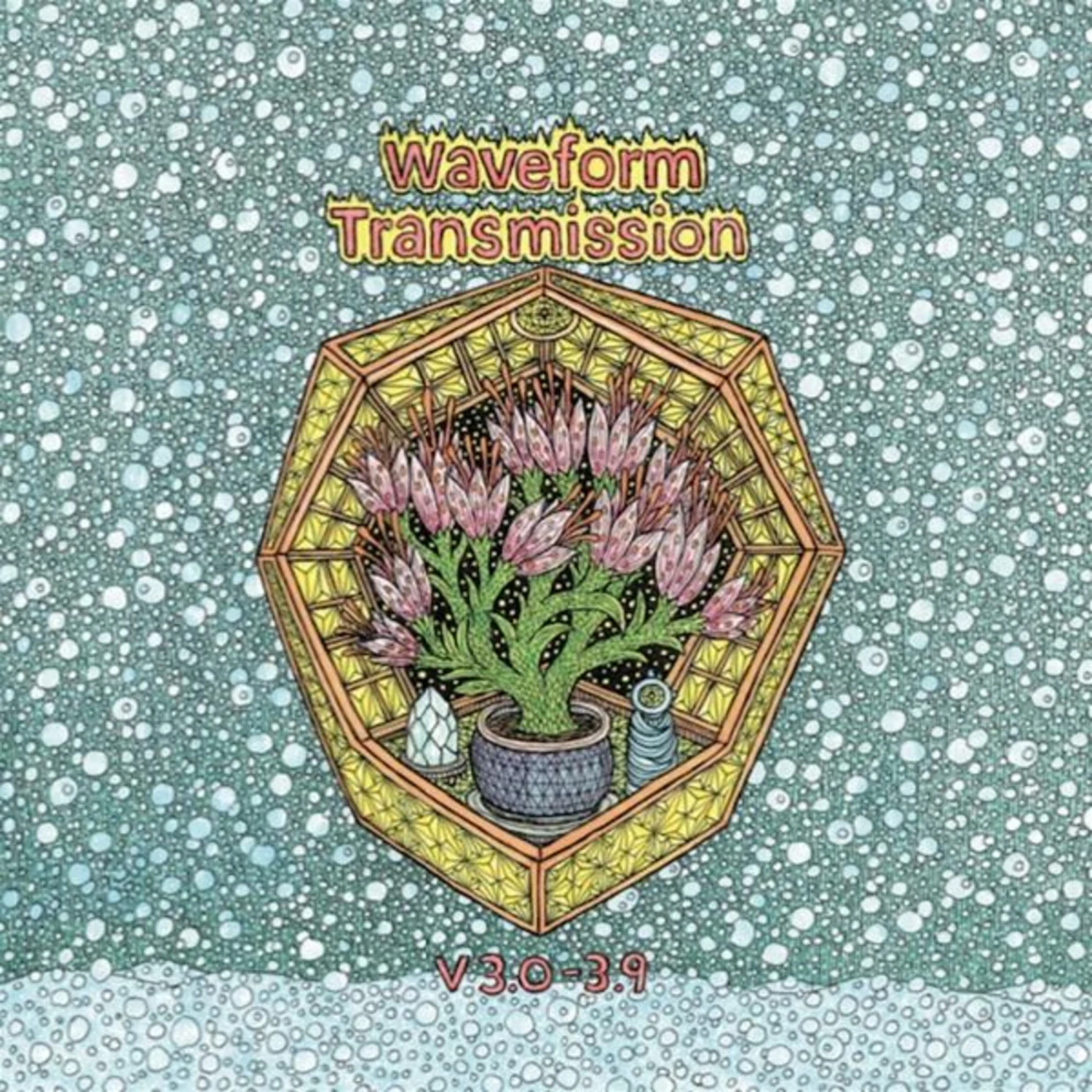 Waveform Transmission - V 3.0-3.9 (2lp) (Vinyl)