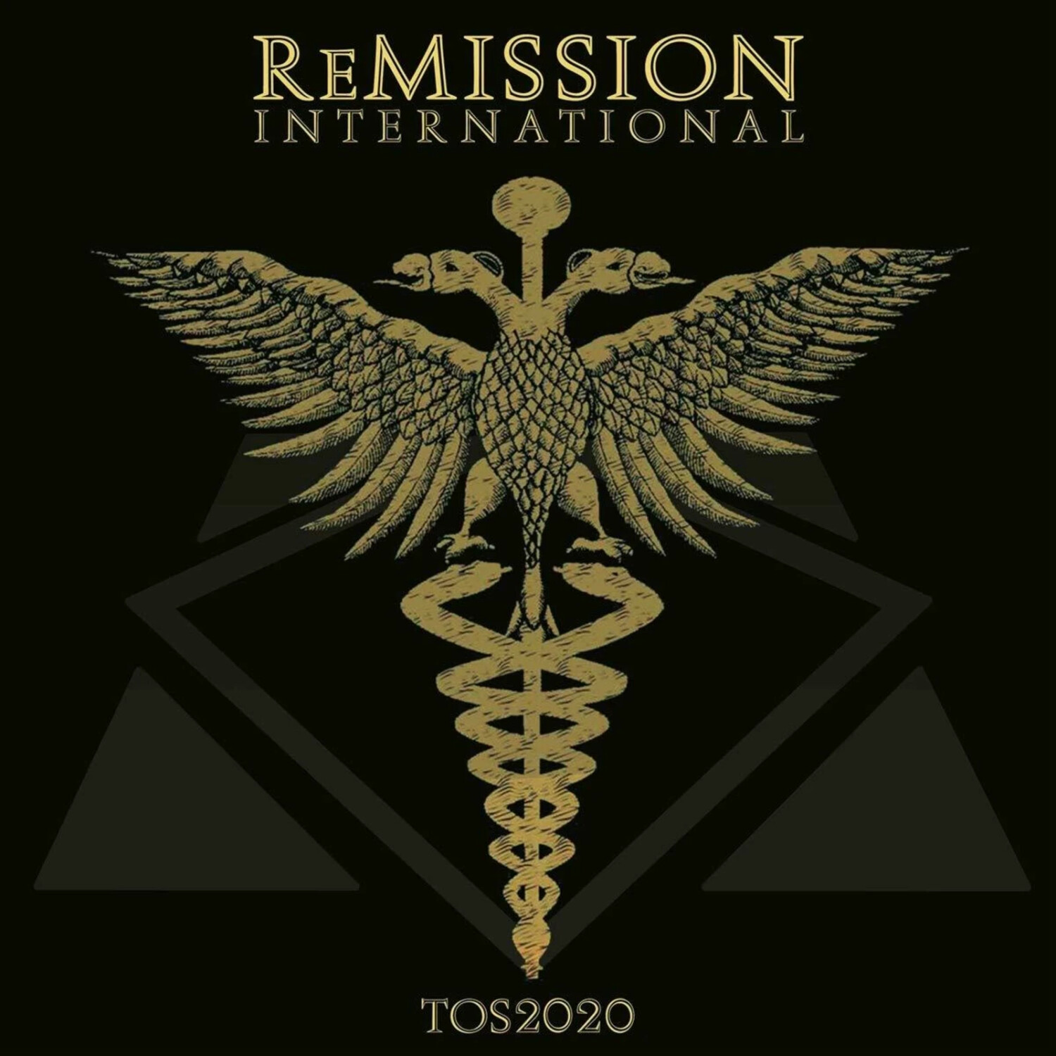 Remission International - Tos2020 (Vinyl)