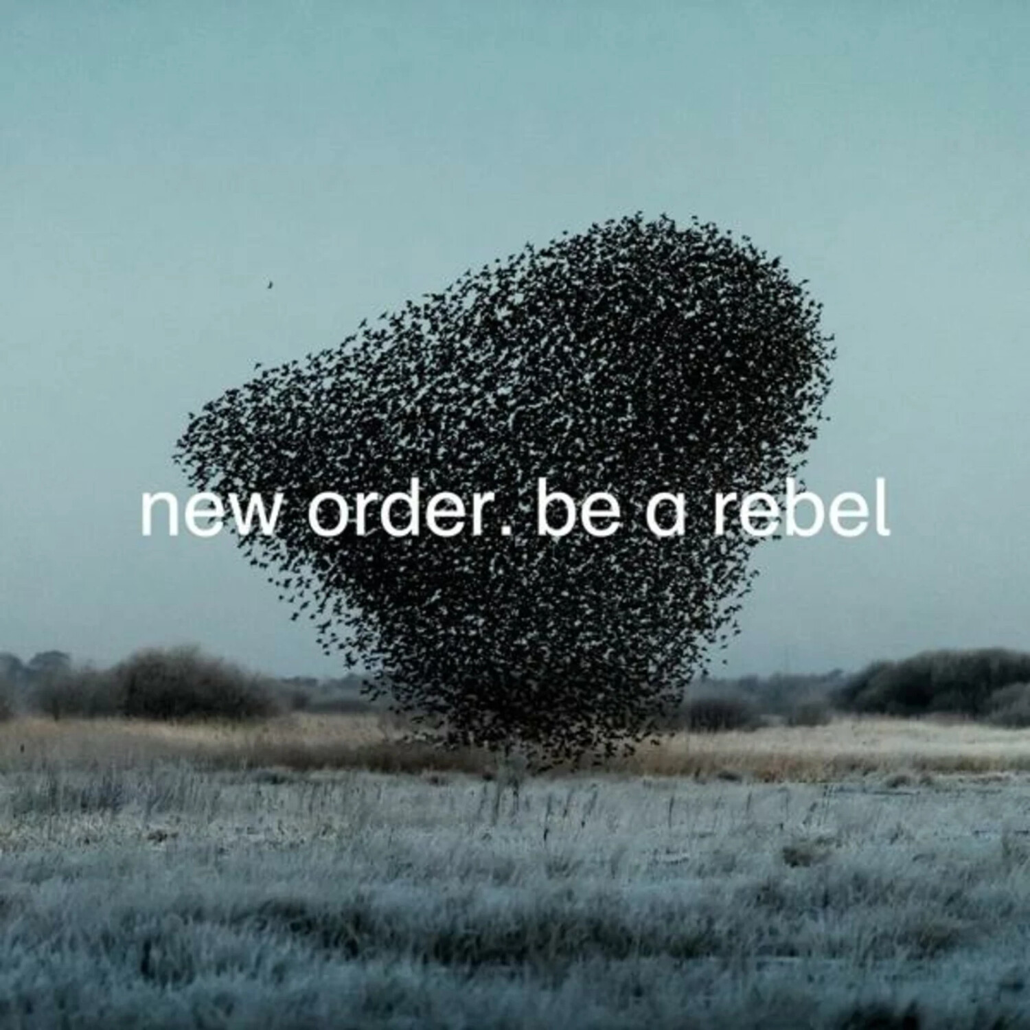 New Order - Be A Rebel (Ltd.Ed.) (12Ep+Mp3) (Grey Vinyl) (Vinyl)
