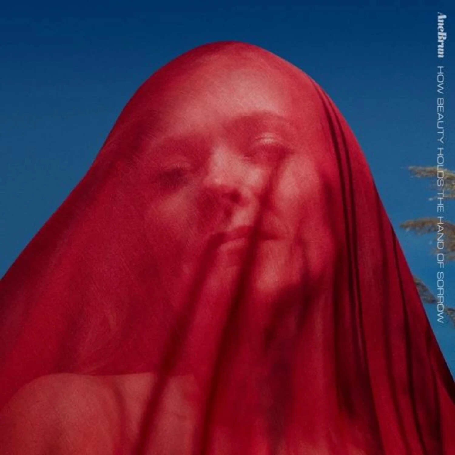 Brun Ane - How Beauty Holds The Hand Of Sorrow (Vinyl)