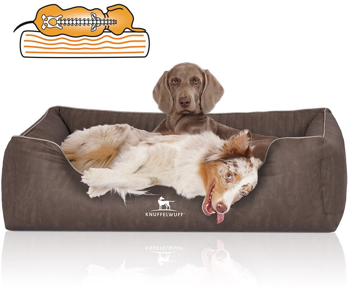 Knuffelwuff Orthopedic Dog Bed Tampa