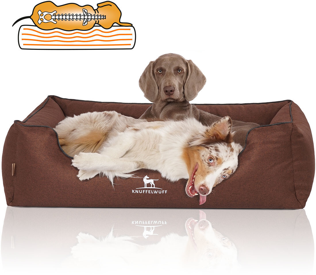Knuffelwuff Orthopedic Dog Bed Wippo