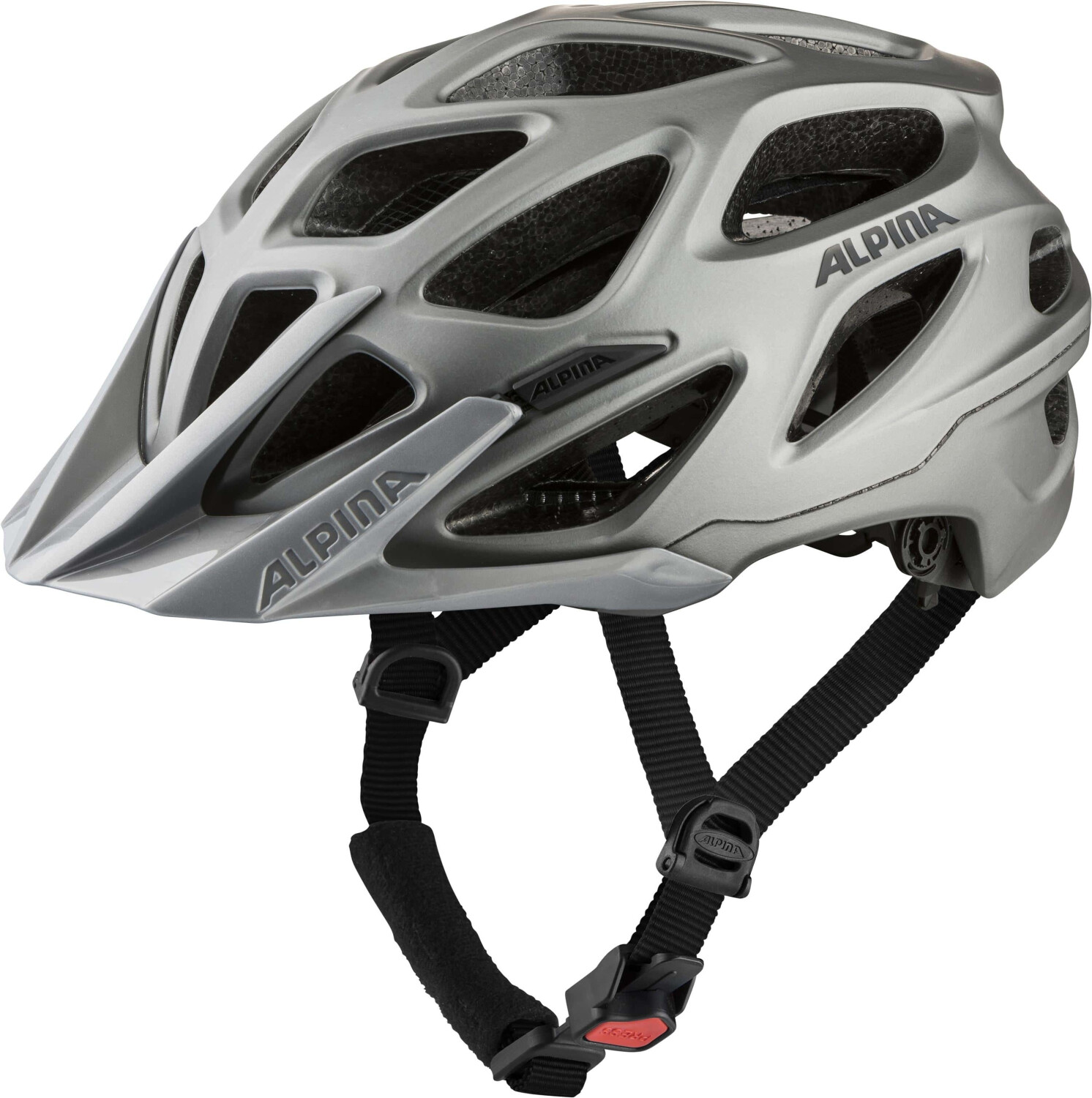 Alpina Sports Mythos 3.0 LE darksilver matt