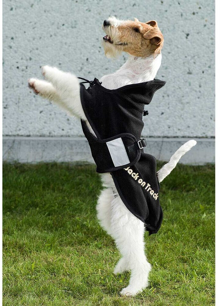 Back on Track Manteau pour chien 63cm Back on Track Manteau pour chien 63cm